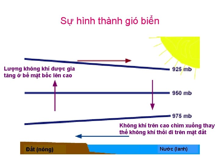 Sự hình thành gió biển Lượng không khí được gia tăng ở bề mặt