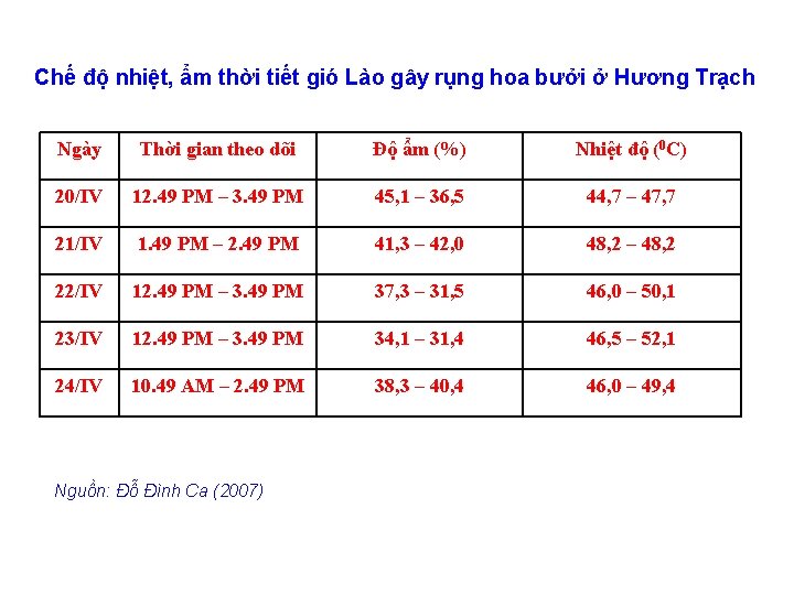 Chế độ nhiệt, ẩm thời tiết gió Lào gây rụng hoa bưởi ở Hương