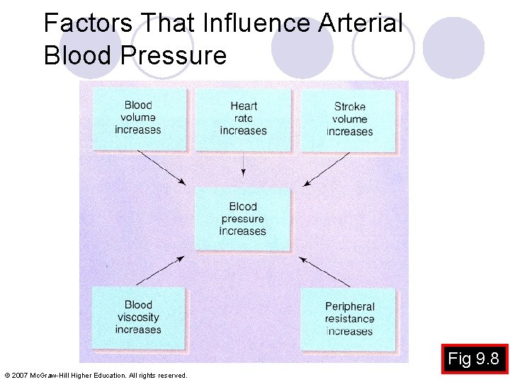 Factors That Influence Arterial Blood Pressure Fig 9. 8 © 2007 Mc. Graw-Hill Higher