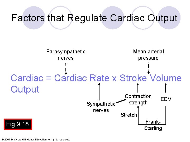 Factors that Regulate Cardiac Output Parasympathetic nerves Mean arterial pressure Cardiac = Cardiac Rate