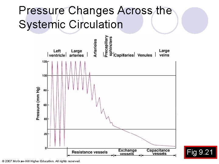 Pressure Changes Across the Systemic Circulation Fig 9. 21 © 2007 Mc. Graw-Hill Higher