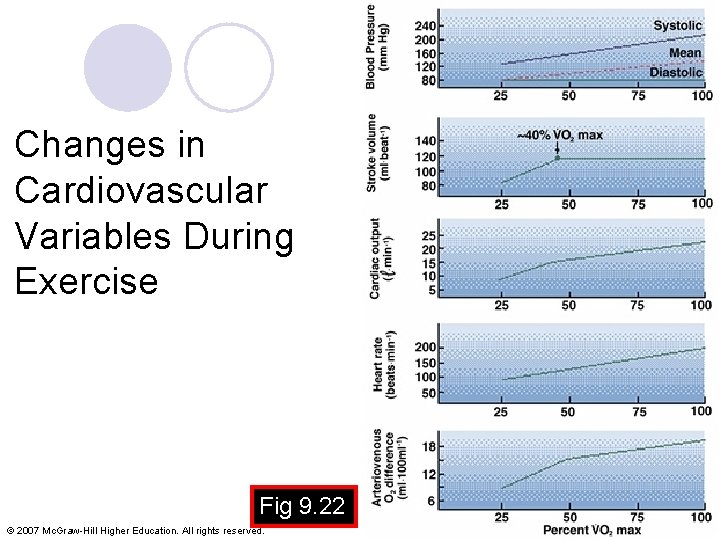 Changes in Cardiovascular Variables During Exercise Fig 9. 22 © 2007 Mc. Graw-Hill Higher