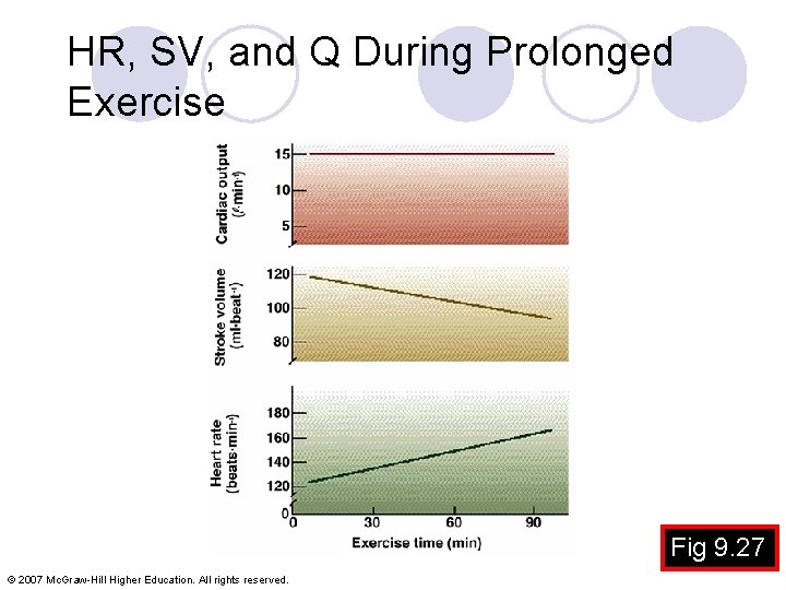 HR, SV, and Q During Prolonged Exercise Fig 9. 27 © 2007 Mc. Graw-Hill