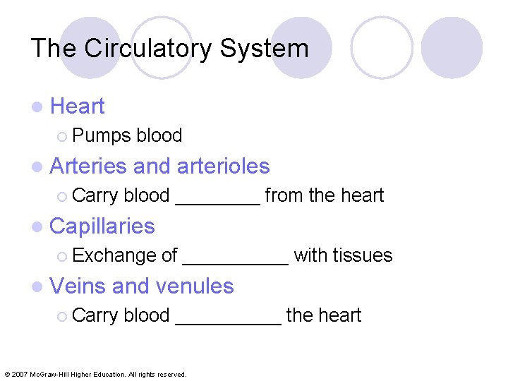 The Circulatory System l Heart ¡ Pumps l Arteries ¡ Carry blood and arterioles