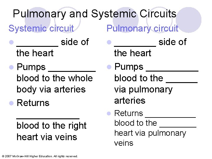 Pulmonary and Systemic Circuits Systemic circuit l ____ side of the heart l Pumps