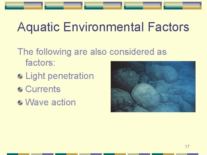 Aquatic Environmental Factors The following are also considered as factors: Light penetration Currents Wave