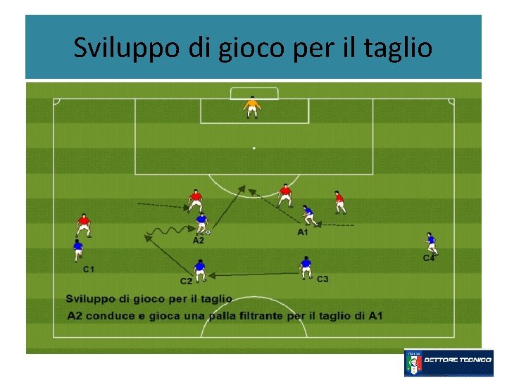 Sviluppo di gioco per il taglio 