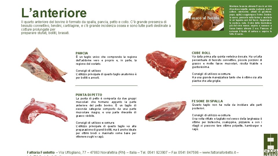 L’anteriore Il quarto anteriore del bovino è formato da spalla, pancia, petto e collo.