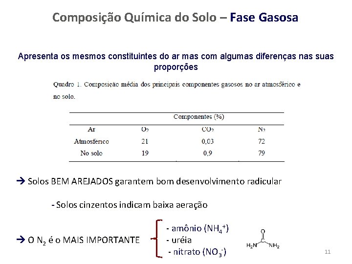 Composição Química do Solo – Fase Gasosa Apresenta os mesmos constituintes do ar mas