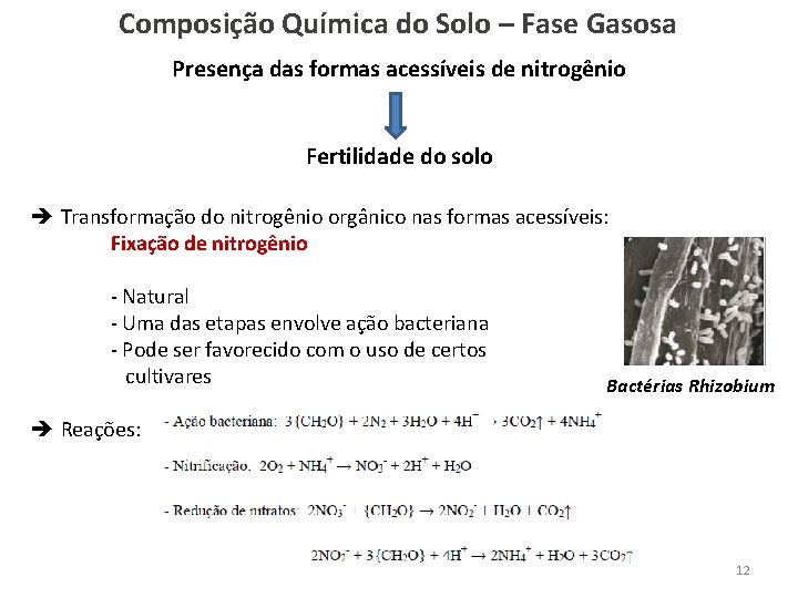 Composição Química do Solo – Fase Gasosa Presença das formas acessíveis de nitrogênio Fertilidade