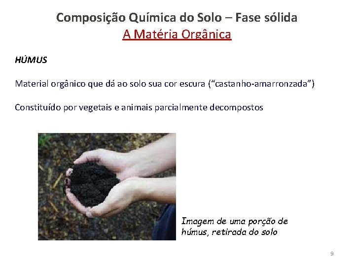 Composição Química do Solo – Fase sólida A Matéria Orgânica HÚMUS Material orgânico que