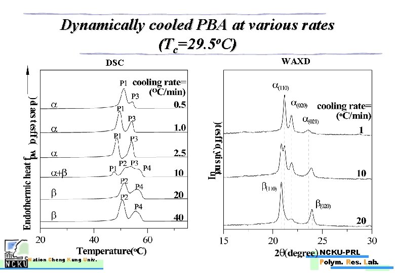 Dynamically cooled PBA at various rates (Tc=29. 5 o. C) DSC Nation Cheng Kung