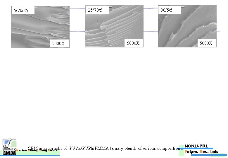 25/70/5 5/70/25 5000 X 90/5/5 5000 X SEM micrographs of PVAc/PVPh/PMMA ternary blends of
