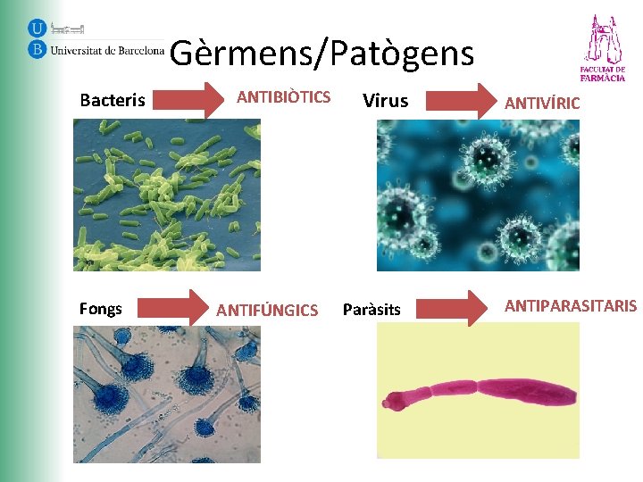 Gèrmens/Patògens Bacteris Fongs ANTIBIÒTICS ANTIFÚNGICS Virus Paràsits ANTIVÍRIC ANTIPARASITARIS 