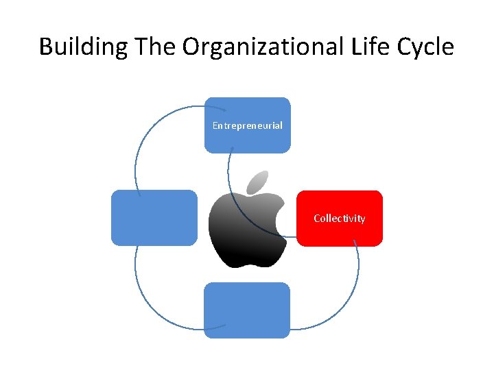 Building The Organizational Life Cycle Entrepreneurial Collectivity Building The Organizational Life Cycle Entrepreneurial Collectivity