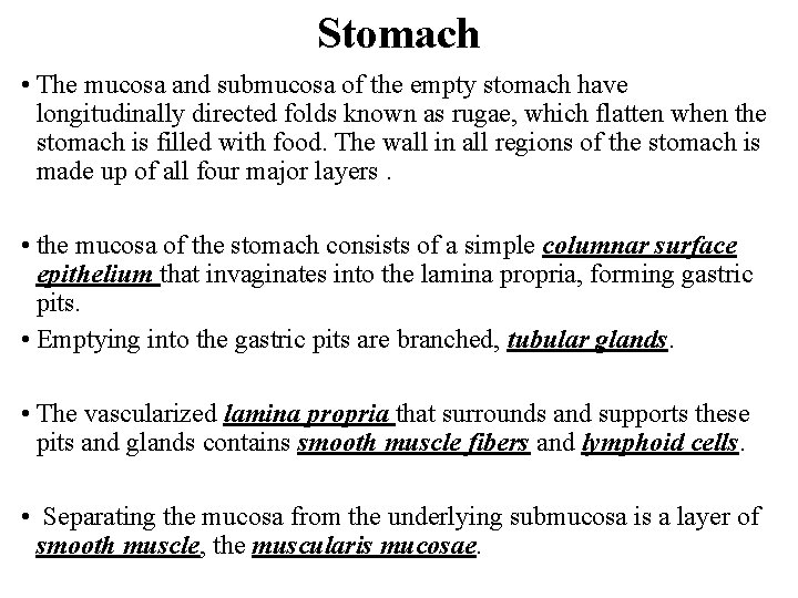 Stomach • The mucosa and submucosa of the empty stomach have longitudinally directed folds