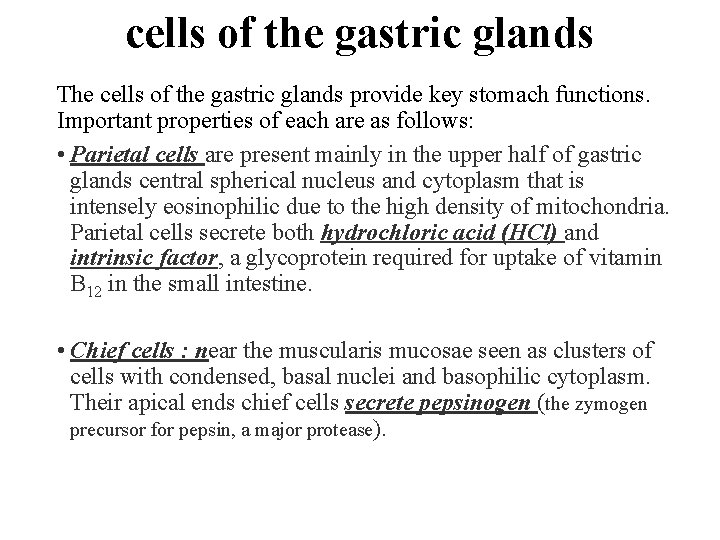 cells of the gastric glands The cells of the gastric glands provide key stomach