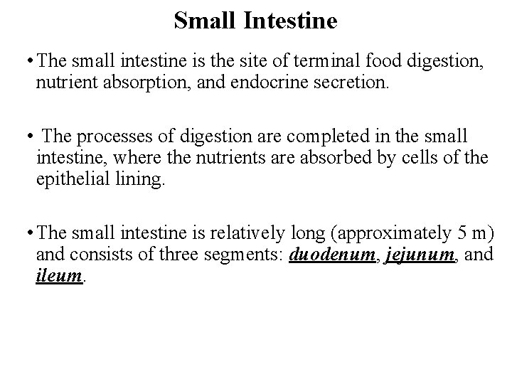 Small Intestine • The small intestine is the site of terminal food digestion, nutrient