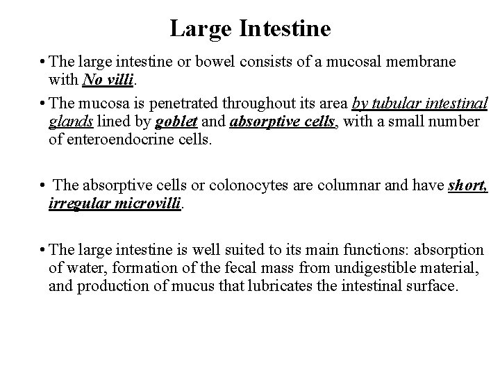 Large Intestine • The large intestine or bowel consists of a mucosal membrane with