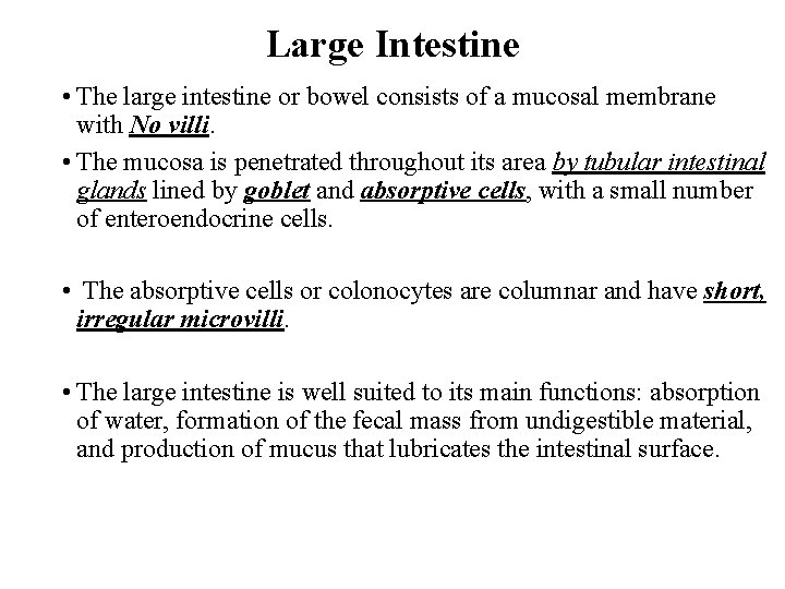 Large Intestine • The large intestine or bowel consists of a mucosal membrane with