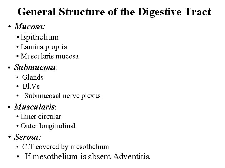 General Structure of the Digestive Tract • Mucosa: • Epithelium • Lamina propria •