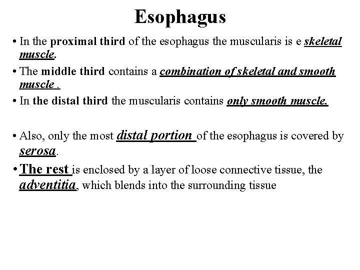 Esophagus • In the proximal third of the esophagus the muscularis is e skeletal