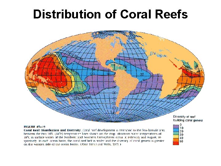 Distribution of Coral Reefs 