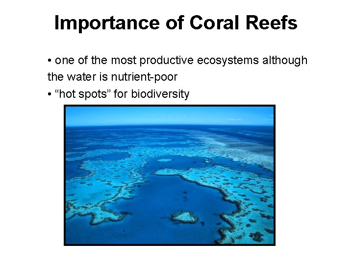 Importance of Coral Reefs • one of the most productive ecosystems although the water