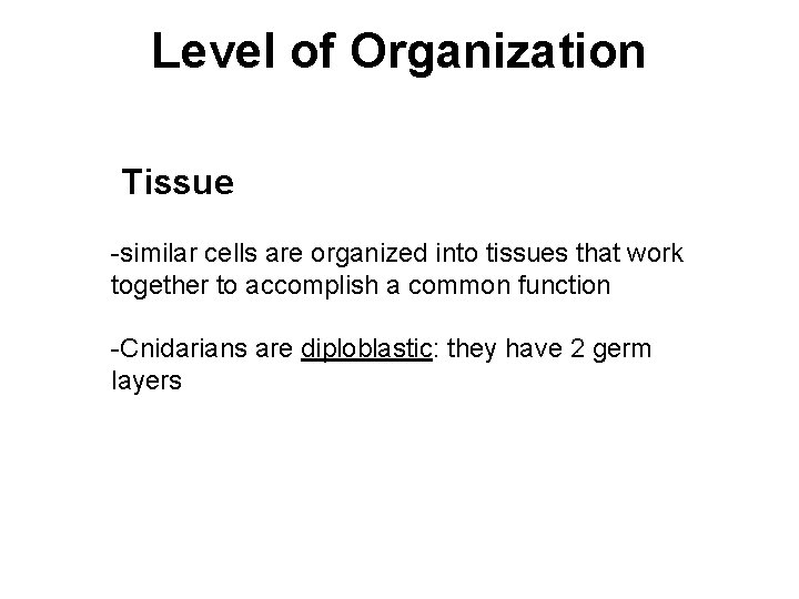 Level of Organization Tissue -similar cells are organized into tissues that work together to
