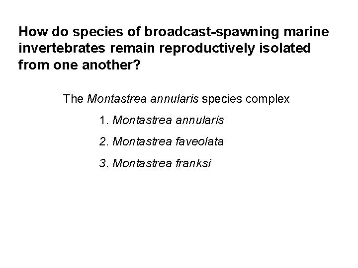 How do species of broadcast-spawning marine invertebrates remain reproductively isolated from one another? The