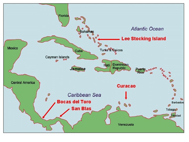 Lee Stocking Island Curacao Bocas del Toro San Blas 