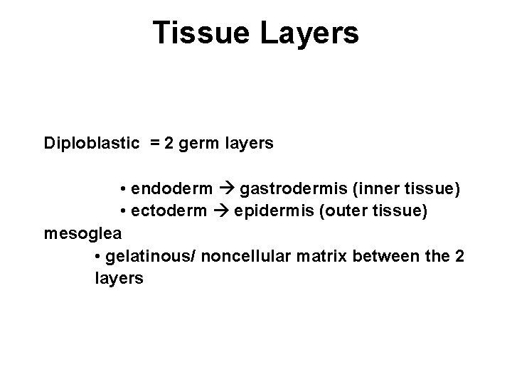 Tissue Layers Diploblastic = 2 germ layers • endoderm gastrodermis (inner tissue) • ectoderm
