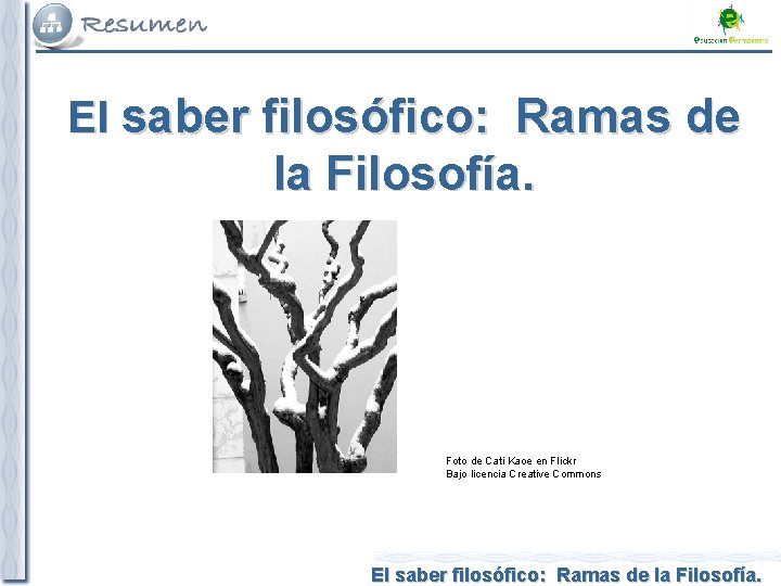 El saber filosófico: Ramas de la Filosofía. Foto de Cati Kaoe en Flickr Bajo