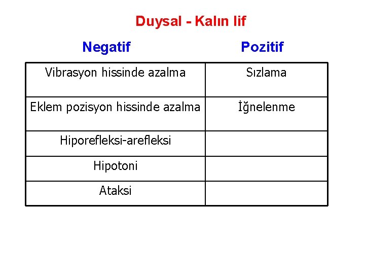 Duysal - Kalın lif Negatif Pozitif Vibrasyon hissinde azalma Sızlama Eklem pozisyon hissinde azalma Duysal - Kalın lif Negatif Pozitif Vibrasyon hissinde azalma Sızlama Eklem pozisyon hissinde azalma
