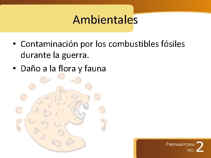 Ambientales • Contaminación por los combustibles fósiles durante la guerra. • Daño a la