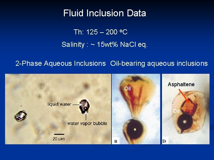 Fluid Inclusion Data Th: 125 – 200 o. C Salinity : ~ 15 wt%