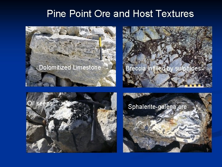 Pine Point Ore and Host Textures Dolomitized Limestone Oil seeps Breccia infilled by sulphides