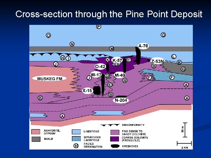 Cross-section through the Pine Point Deposit 