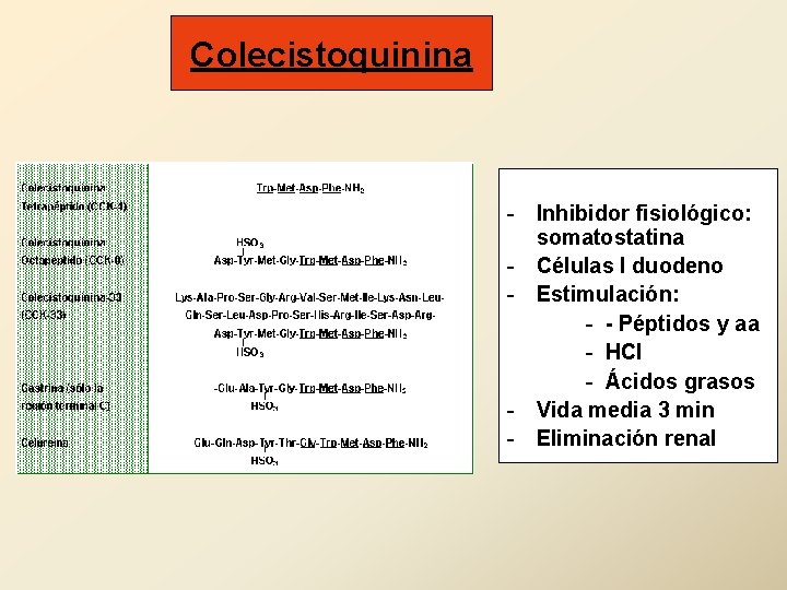 Colecistoquinina - Inhibidor fisiológico: somatostatina - Células I duodeno - Estimulación: - - Péptidos