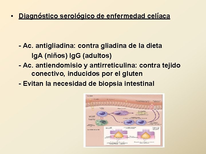  • Diagnóstico serológico de enfermedad celíaca - Ac. antigliadina: contra gliadina de la