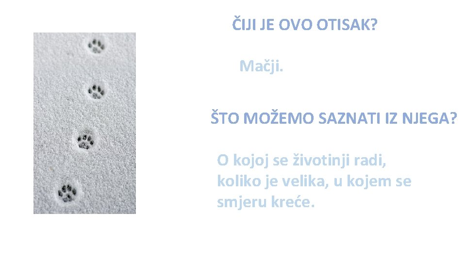 ČIJI JE OVO OTISAK? Mačji. ŠTO MOŽEMO SAZNATI IZ NJEGA? O kojoj se životinji