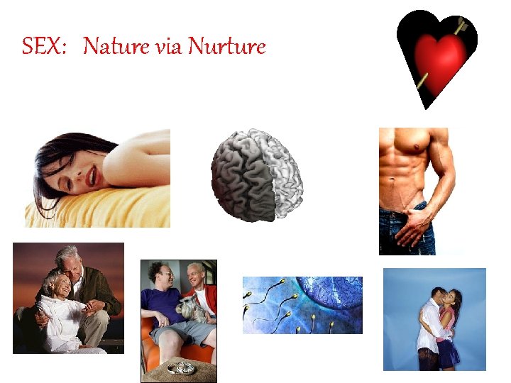 SEX: Nature via Nurture 