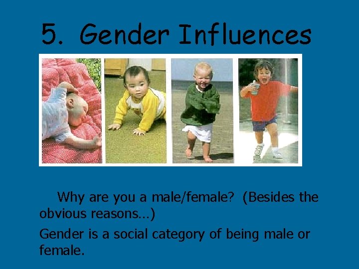 5. Gender Influences Why are you a male/female? (Besides the obvious reasons…) Gender is
