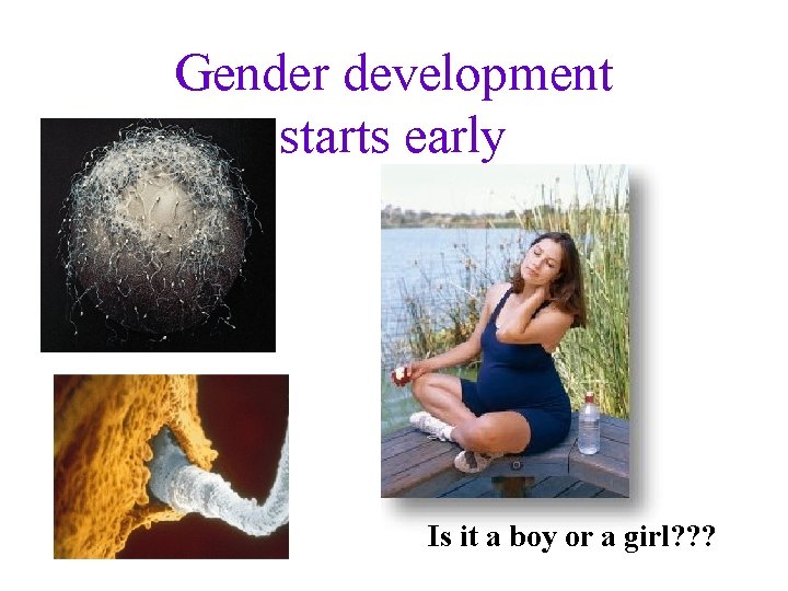 Gender development starts early Is it a boy or a girl? ? ? 