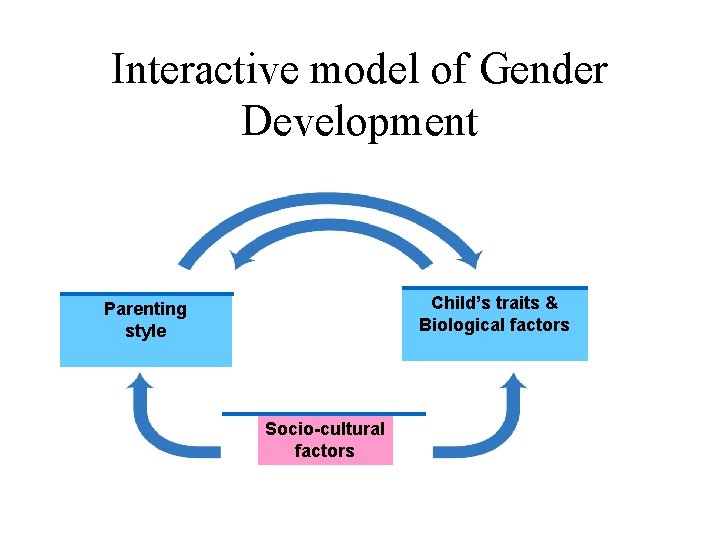 Interactive model of Gender Development Child’s traits & Biological factors Parenting style Socio-cultural factors