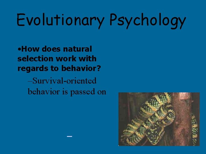 Evolutionary Psychology • How does natural selection work with regards to behavior? –Survival-oriented behavior