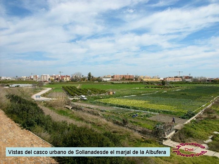 Vistas del casco urbano de Sollanadesde el marjal de la Albufera 