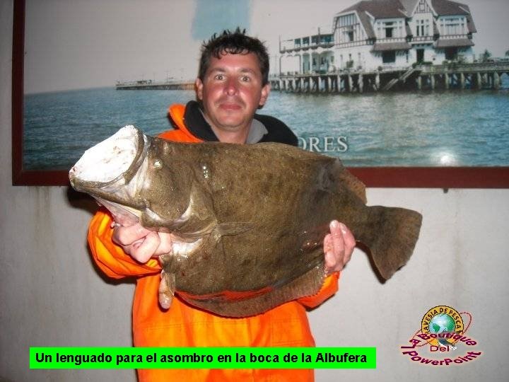 Un lenguado para el asombro en la boca de la Albufera 