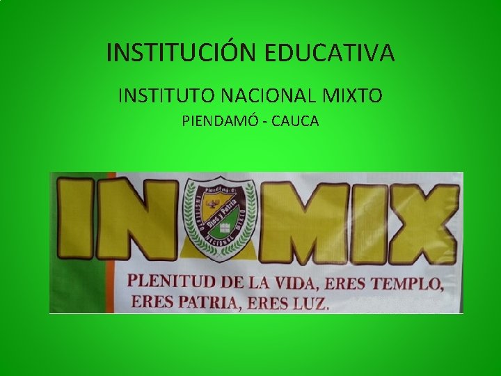 INSTITUCIÓN EDUCATIVA INSTITUTO NACIONAL MIXTO PIENDAMÓ - CAUCA 