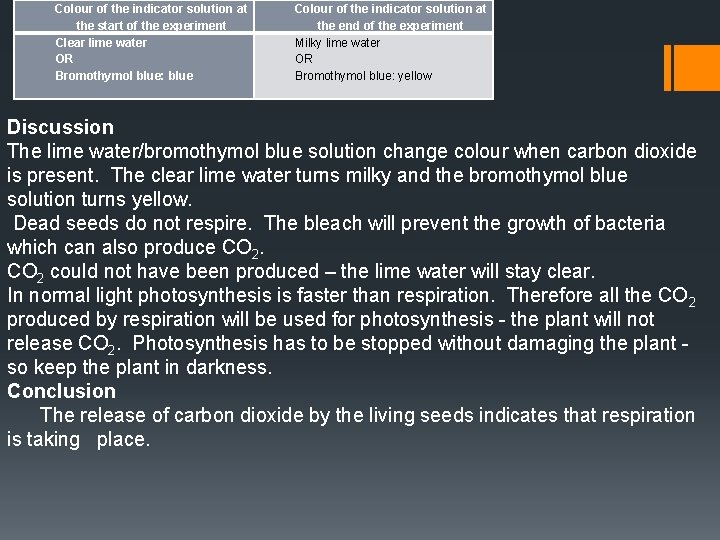 Colour of the indicator solution at the start of the experiment Clear lime water